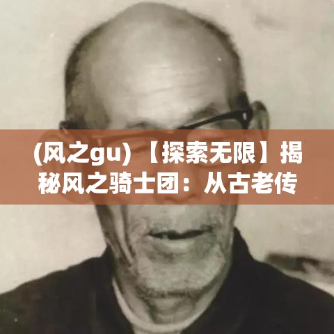 (风之gu) 【探索无限】揭秘风之骑士团：从古老传说到现代英勇之旅的华丽转变